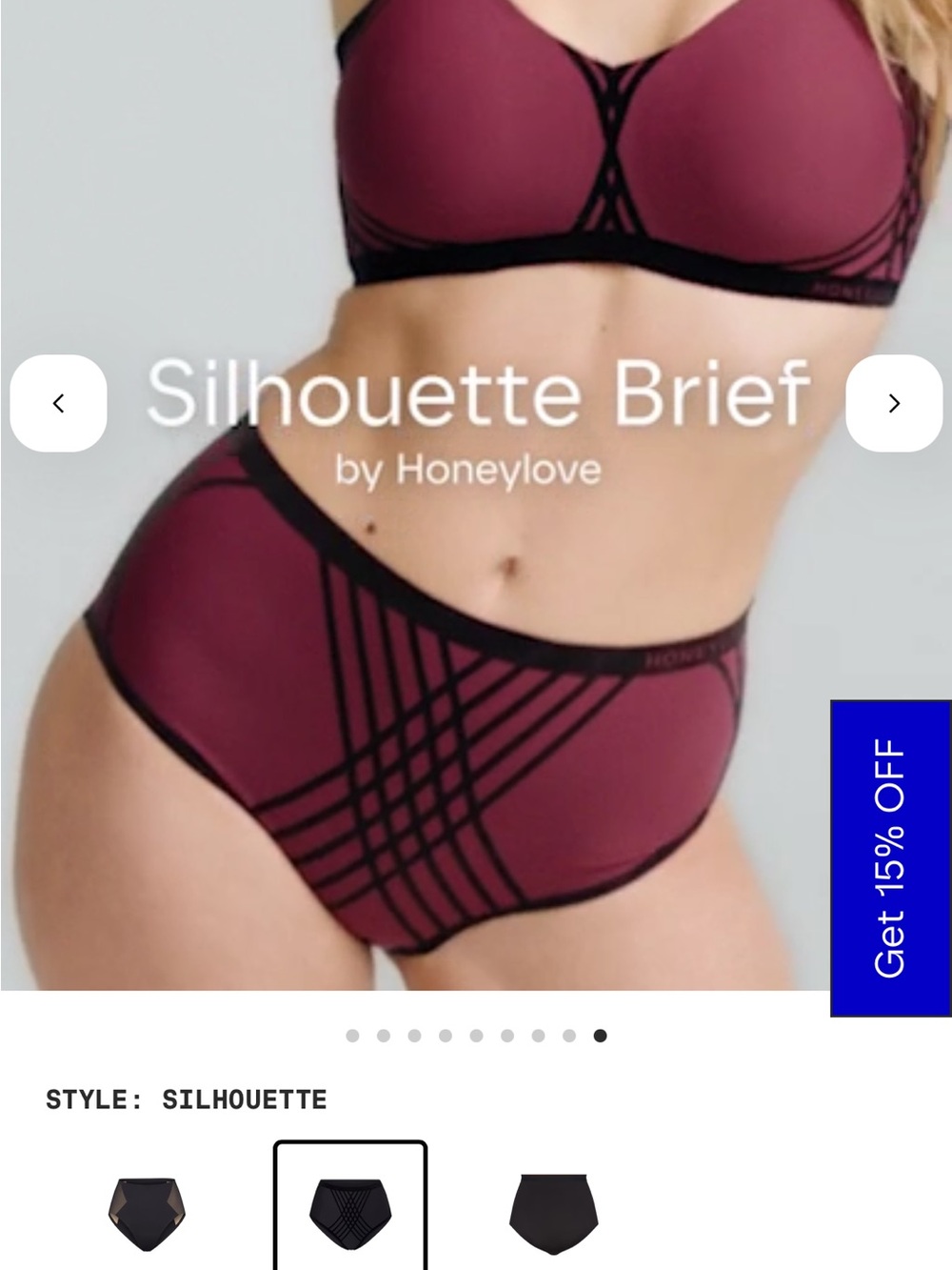 Honeylove Silhouette Brief - NWT XXL